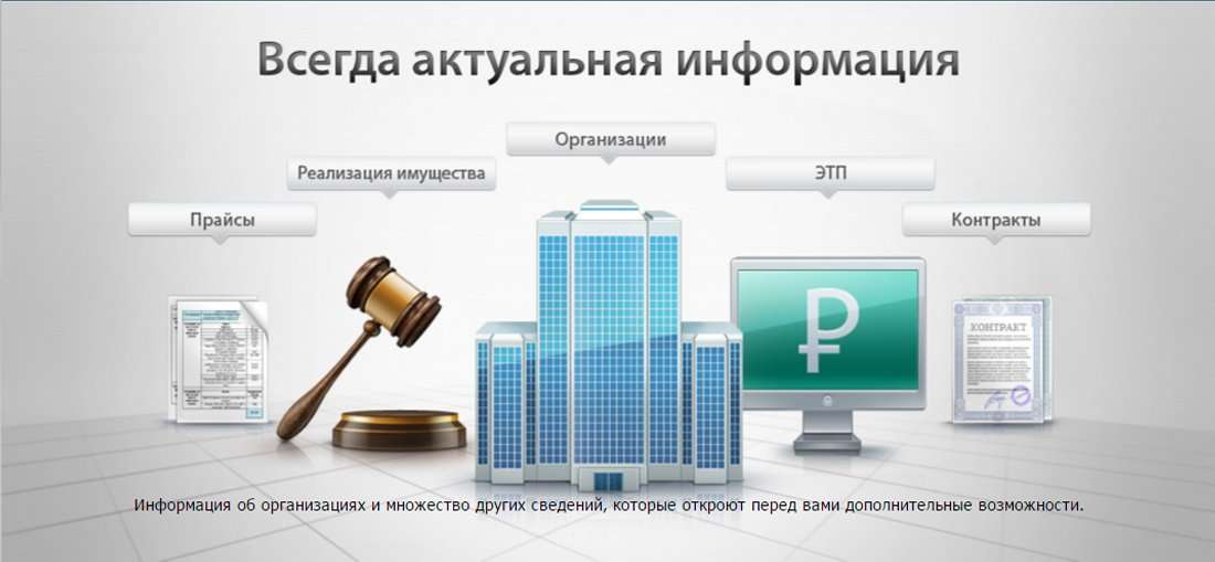 Реализация торгов. Seldon Price. Тендерный отдел Селдон. Seldon цена. Селдон поиск тендеров цена.