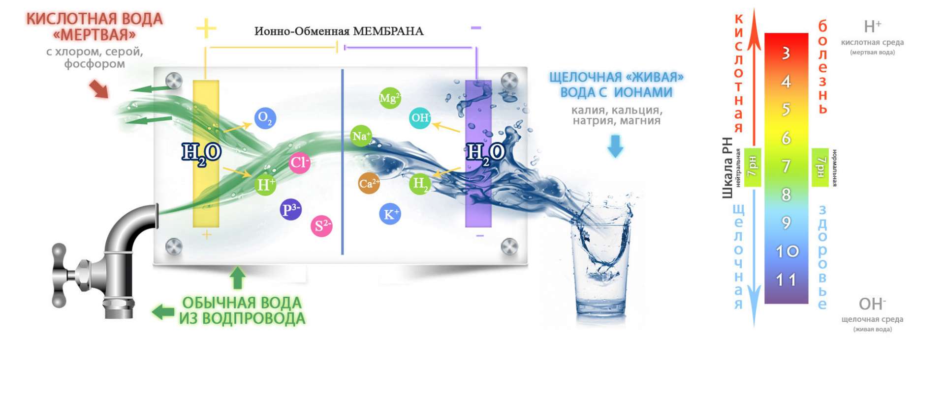 Живая вода карта